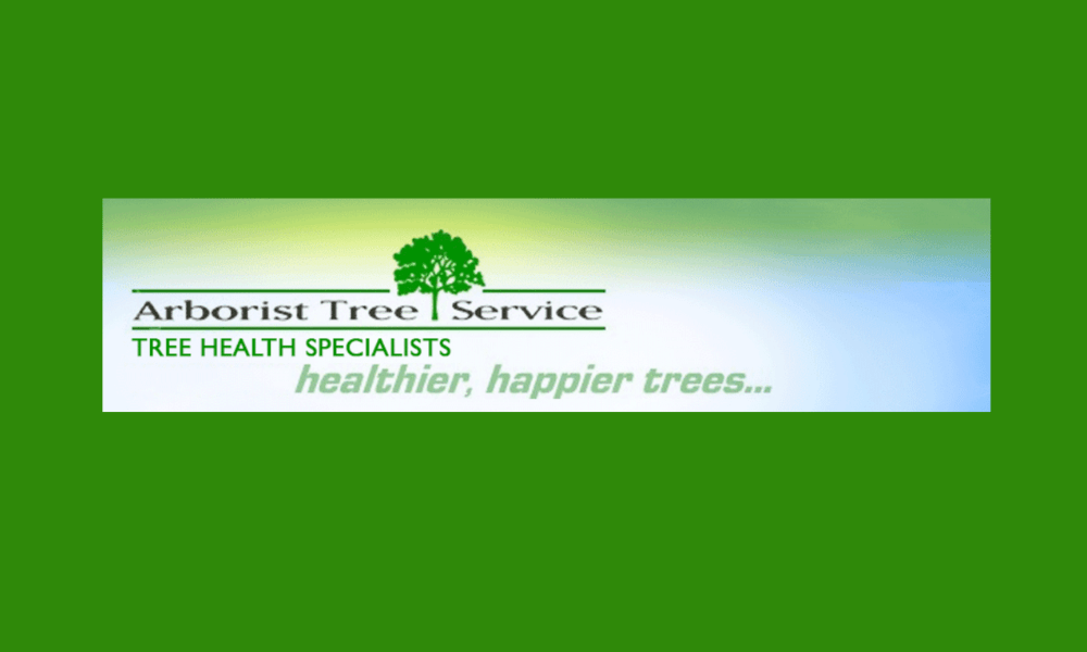 Arborist Tree Service Spokane